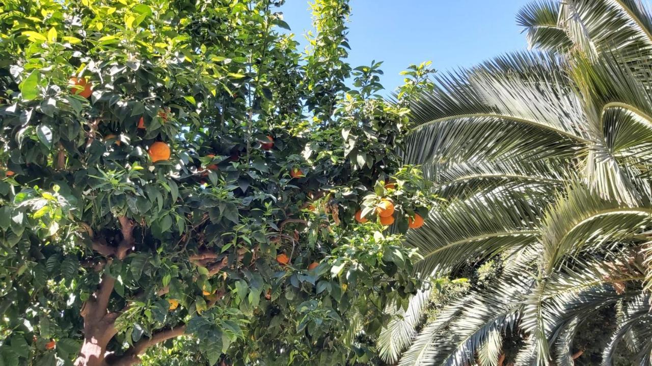 דירות מאלגה Del Parque Flats Urban מראה חיצוני תמונה
